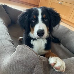 Foto: Sabine Fehrenbach