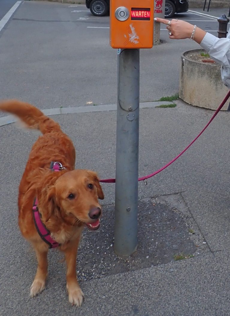 Foto: Sabine Fehrenbach